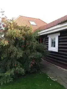 Гостевой дворик Веры Федоровны - 54