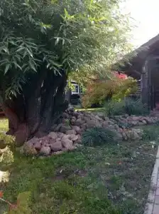 Гостевой дворик Веры Федоровны - 63