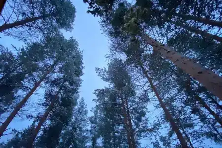 Сияние Кицы - 6