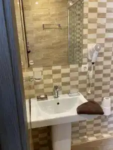 Фиеста - 29