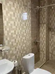 Фиеста - 58