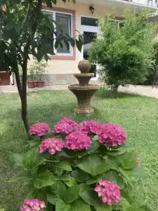 Фиеста - 15