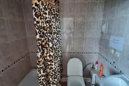 Горная лаванда - 155