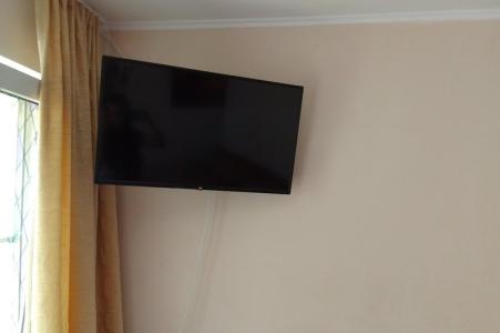 Горная лаванда - 209