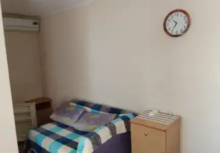 Горная лаванда - 210