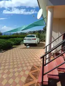 Горная лаванда - 0