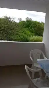 Горная лаванда - 229