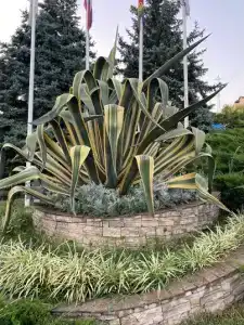 Голубая Лагуна - 41
