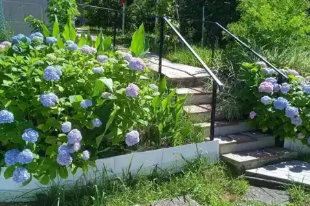 Голубая Лагуна - 50
