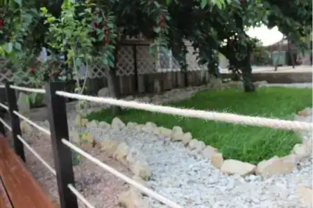Кактус - 4