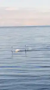 Уютная - 23