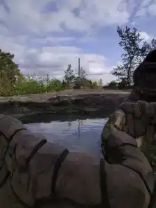 Высокий дворик - 52