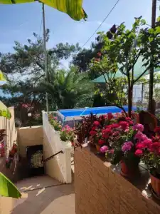 Гостевой дом у Татьяны и Владимира - 19