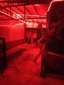 Южное Солнце - 19