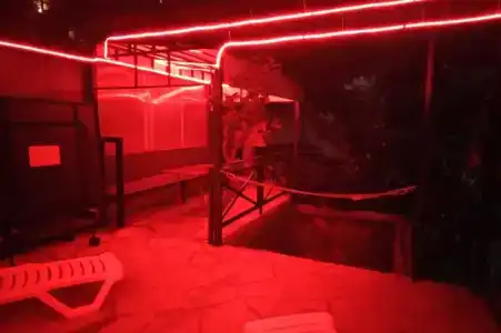 Южное Солнце - 20