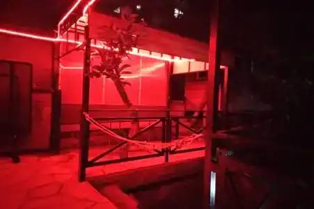 Южное Солнце - 21