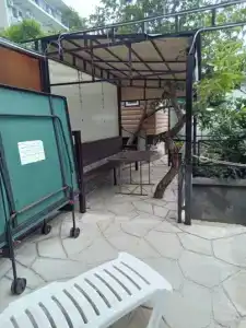 Южное Солнце - 24