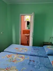 Аист - 17