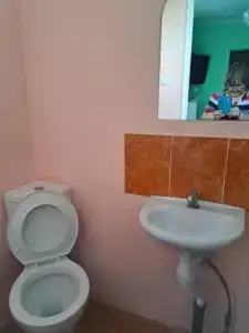Аист - 18