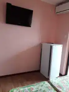 Аист - 50