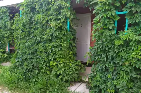 Спартак - 0