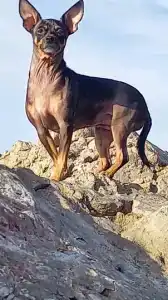 У Николая - 17