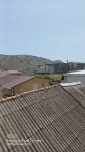 У Николая - 24