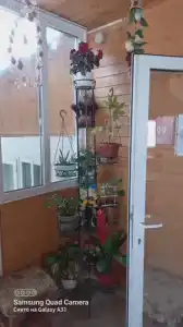 У Николая - 25