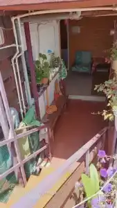 У Николая - 26