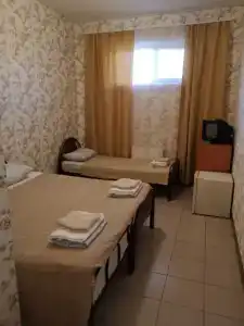Магнолия - 36