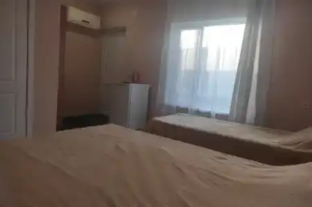 Афина - 39
