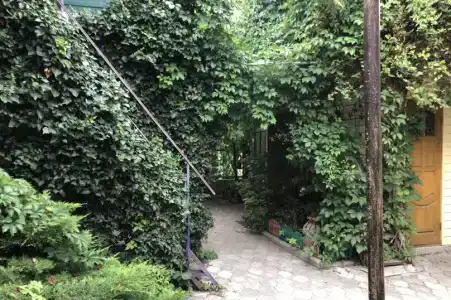 Высокий берег - 10