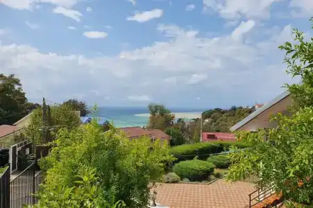 Горная лаванда - 4