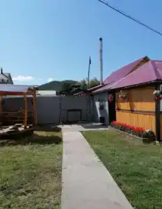 Клевер - 1