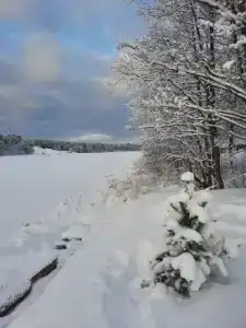 Lämmin Talo - 30