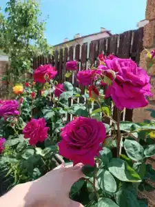 Домик под ключ - 21