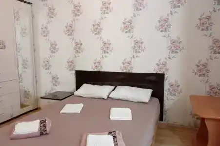 Викинг - 4
