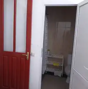 Горная лаванда - 188