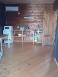 Кактус - 12