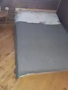 Кактус - 13