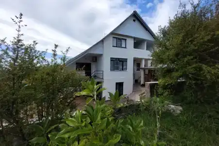 Горная лаванда - 5