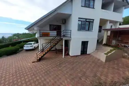 Горная лаванда - 18