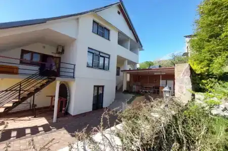 Горная лаванда - 24