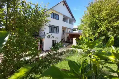 Горная лаванда - 27