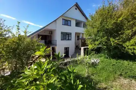 Горная лаванда - 31