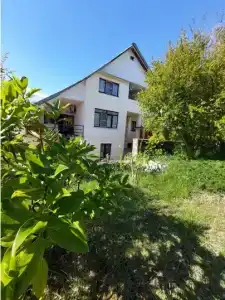 Горная лаванда - 32