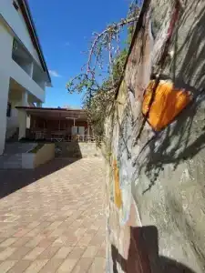 Горная лаванда - 35