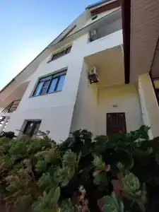 Горная лаванда - 37