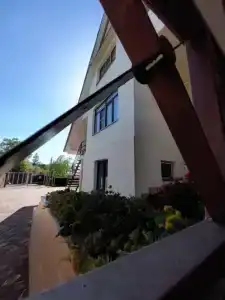 Горная лаванда - 40