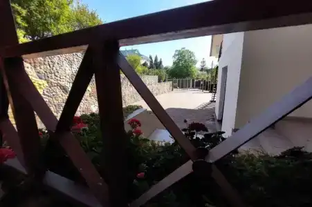 Горная лаванда - 41